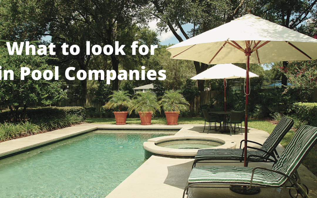 What to look for in Pool Companies