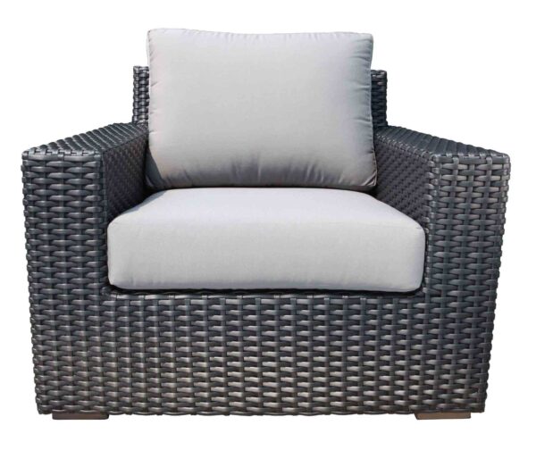 Brighton Deep Seating Club Chair - Image 2
