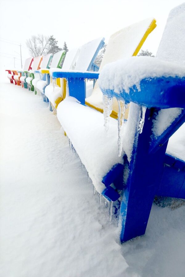 Classic Adirondack - Image 5