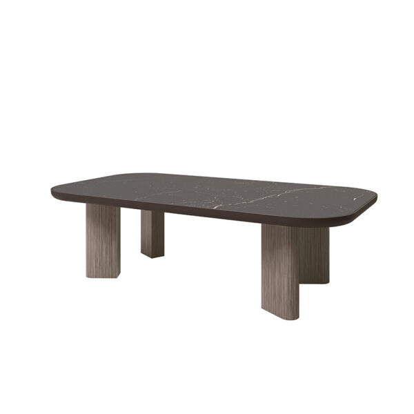 Forano Coffee Table Base + Aspen Top - Image 4