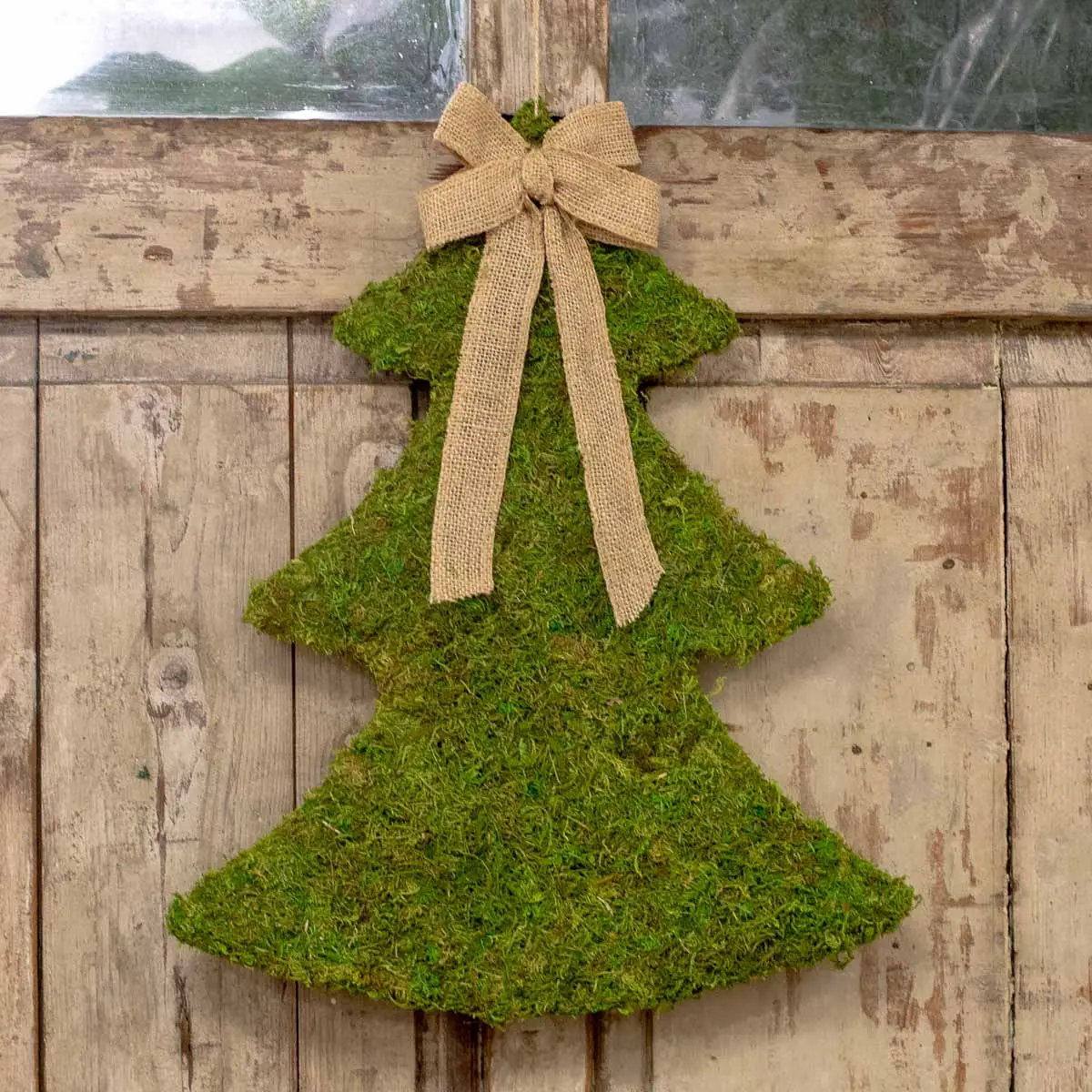 Moss Tree Hanging Green