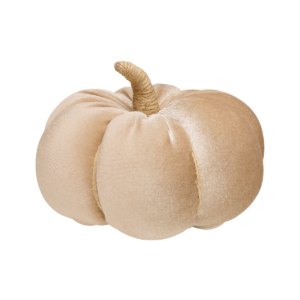 Desert Velvet Fall Pumpkin