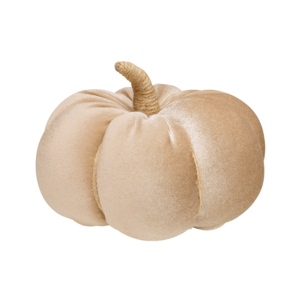 Desert Velvet Fall Pumpkin