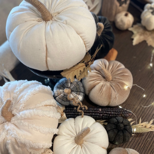 Desert Velvet Fall Pumpkin - Image 2